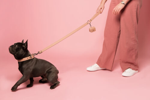 Blush Pink Dog Lead (Vegan Apple Leather) – by Skylos Collective - Image 3