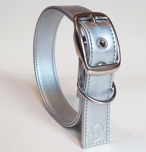 Silver Dog Collar (Vegan Apple Leather) – by Skylos Collective