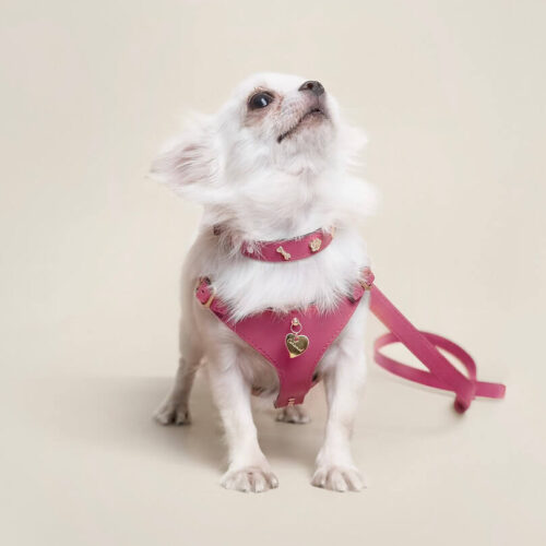 Luxury Leather Dog Harness (Pink) – by Amati - Image 6