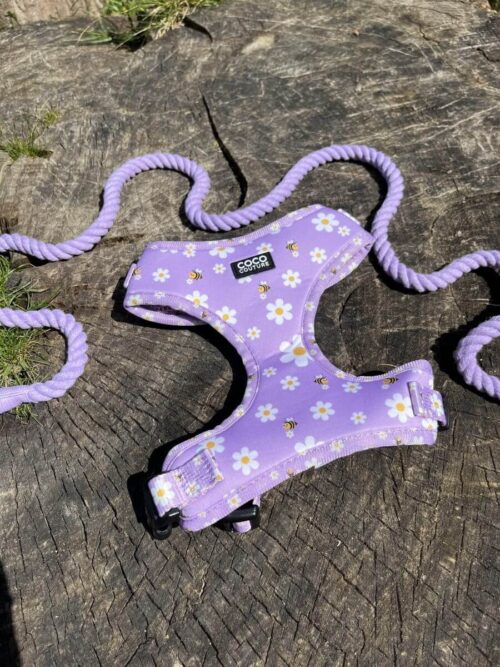 "Parma Violet" Dog Rope Lead – by Coco Couture - Image 2