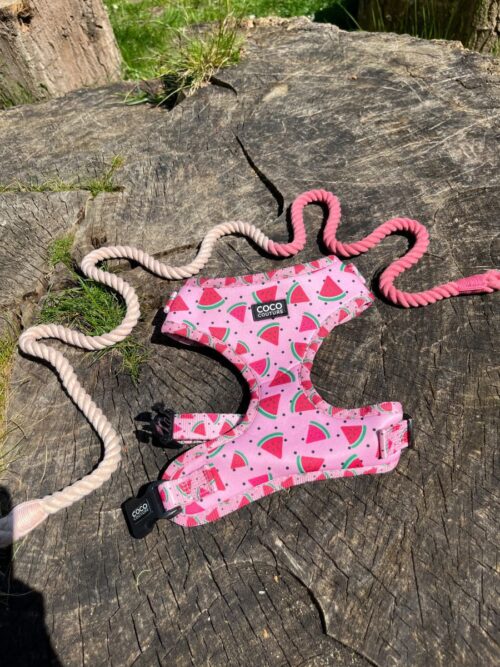 "Pink Grapefruit" Dog Rope Lead – by Coco Couture - Image 3