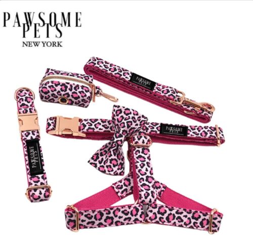 Step-In Bundle (5-pc Set) (Pink Leopard) - by Pawsome Pets