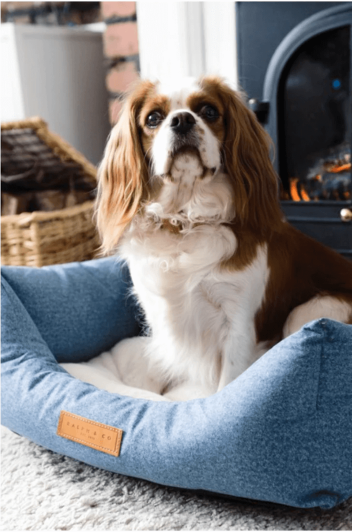 “Rayleigh” Chenille Nest Dog Bed – by Ralph & Co - Image 2