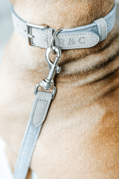 “Dalton” Fabric & Leather Dog Lead – by Ralph & Co