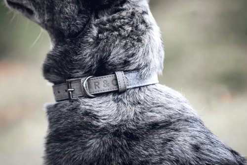 “Dalton” Fabric & Leather Dog Collar – by Ralph & Co - Image 3