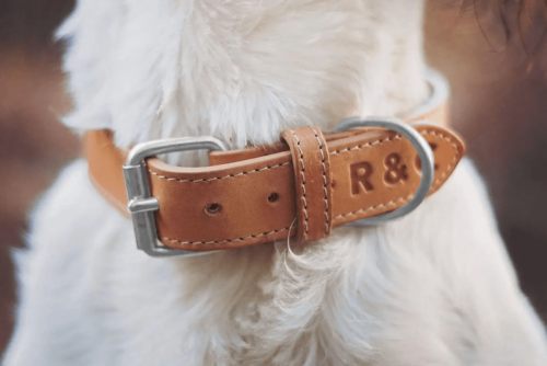 “Trieste” Italian Leather Dog Collar – by Ralph & Co - Image 5