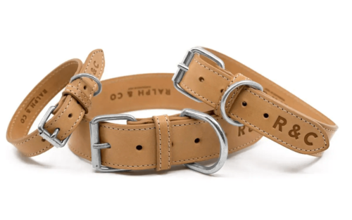 “Trieste” Italian Leather Dog Collar – by Ralph & Co