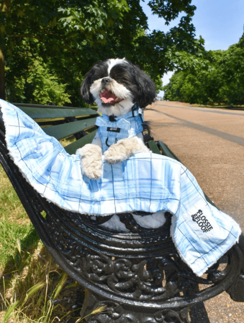 Oxford "Oasis" Dog Blanket – by Flossie & Floof - Image 2