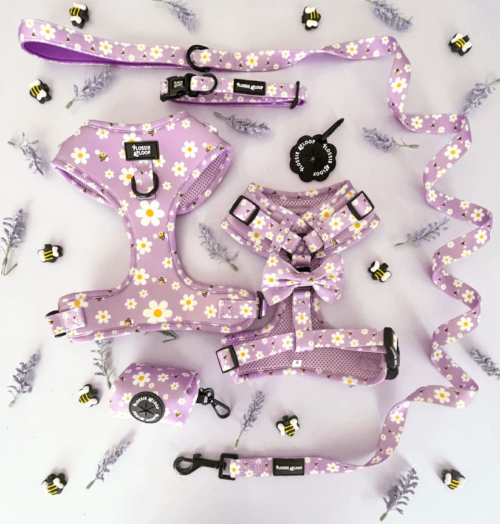 "Cute As Can Bee 2.0" Dog Lead – by Flossie & Floof - Image 3