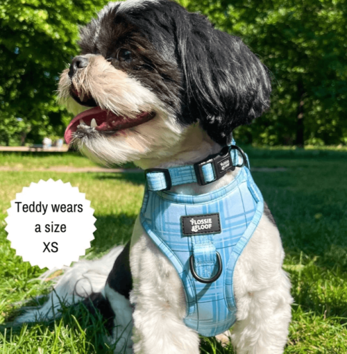 Oxford "Oasis" Adjustable Dog Collar – by Flossie & Floof - Image 5