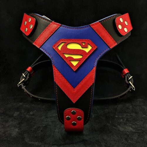 The ''Superdog'' Leather Dog Collar - by Bestia - Image 6