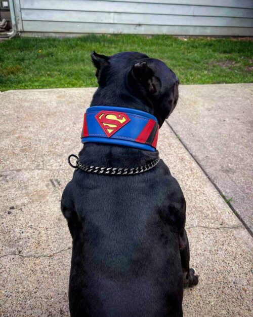 The ''Superdog'' Leather Dog Collar - by Bestia - Image 4