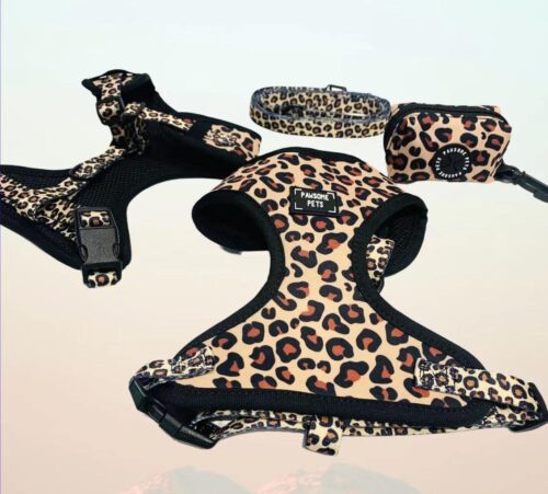 "Leopard" Harness Bundle (3-pc Set) - by Pawsome Pets