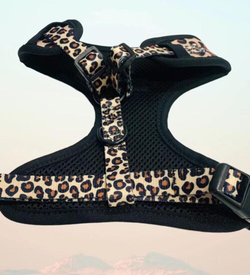 "Leopard" Harness Bundle (3-pc Set) - by Pawsome Pets - Image 5