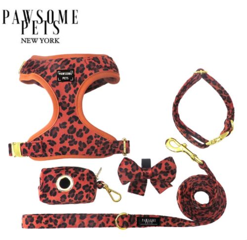 "Orange Leopard" Bundle (5-pc Set) - by Pawsome Pets