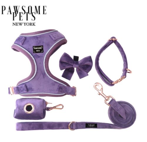 "Purple" Bundle (5-pc Set) - by Pawsome Pets