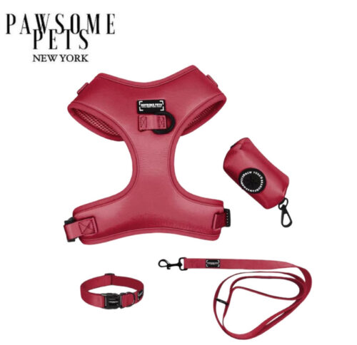 "Silk Red" Bundle (5-pc Set) - by Pawsome Pets