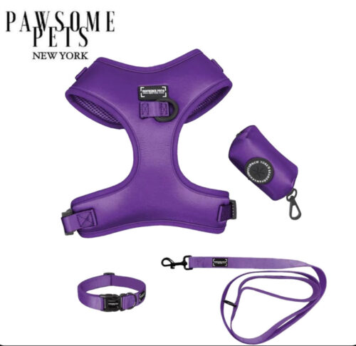 "Silk Purple" Bundle (5-pc Set) - by Pawsome Pets