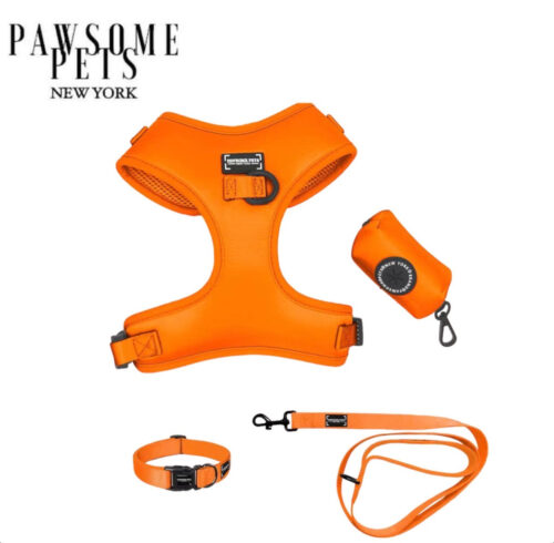 "Silk Orange" Bundle (5-pc Set) - by Pawsome Pets