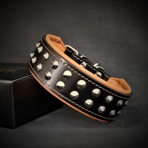 The "Boston" Dog Collar (Black) - by Bestia - Image 3