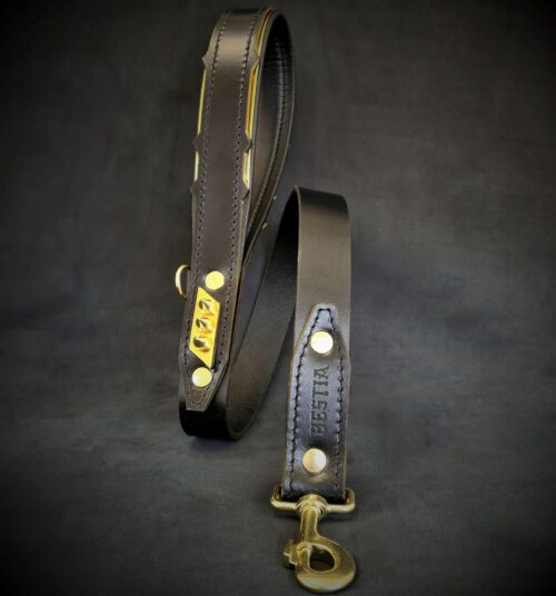 The ''Midas'' Dog Leash (Black) - by Bestia